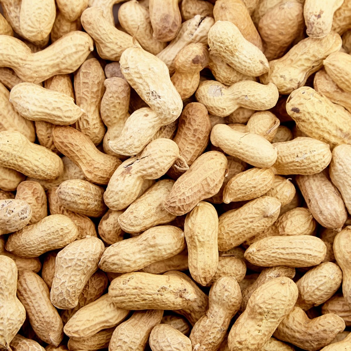 Raw peanuts